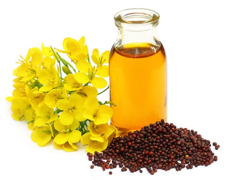 Premium Mustard Seeds